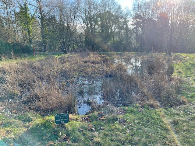 My favourite OPT place by Emma: “The sun streaming down in the tranquil Elizabeth Daryush Memorial Garden. Surrounded by trees, this magical place is my solace early on a Sunday morning” Find out more about our places: bit.ly/3VoLwNs #oxford #wellbeing #greenspace