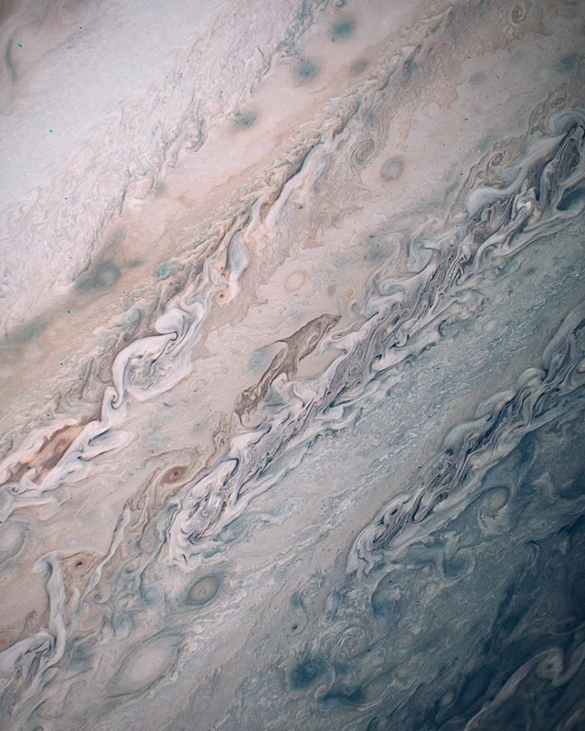 The Dolphin on Jupiter
NASA