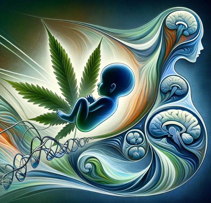 We are happy to announce that our first paper on cannabis in pregnancy has been published in the Toxicology 🥳👍
You can read the full text here:
sciencedirect.com/science/articl…

Stay tuned, there is more to come 😉

The image below is AI-generated under the supervision of Ramon Portillo