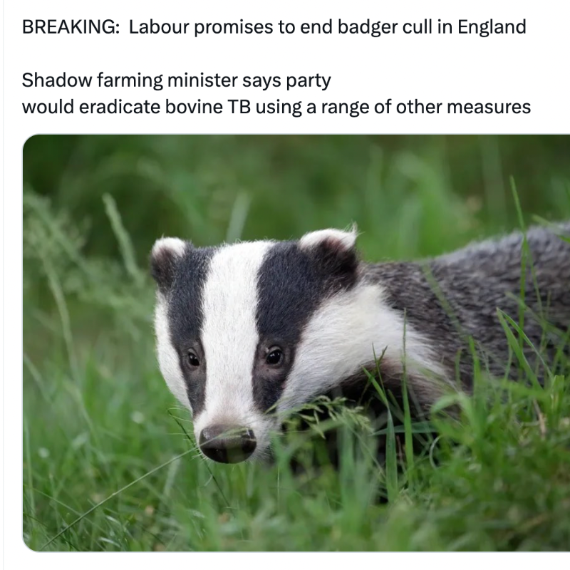 Back in October @UKLabour made the promise that they would end the badger cull if they get into power. Please help us ensure they stick to their word and sign our petition today - protectthewild.org.uk/badger-petitio…