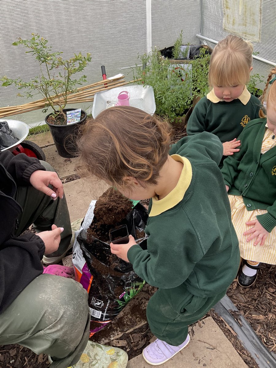 It has been lovely welcoming all the children back to Kindergarten. 

They were all very excited to see how much their sweetcorn, carrots and peas had grown over the last few weeks!

Last week the children planted cabbages, parsnips, sprouts and asparagus. 

#Kindergarten