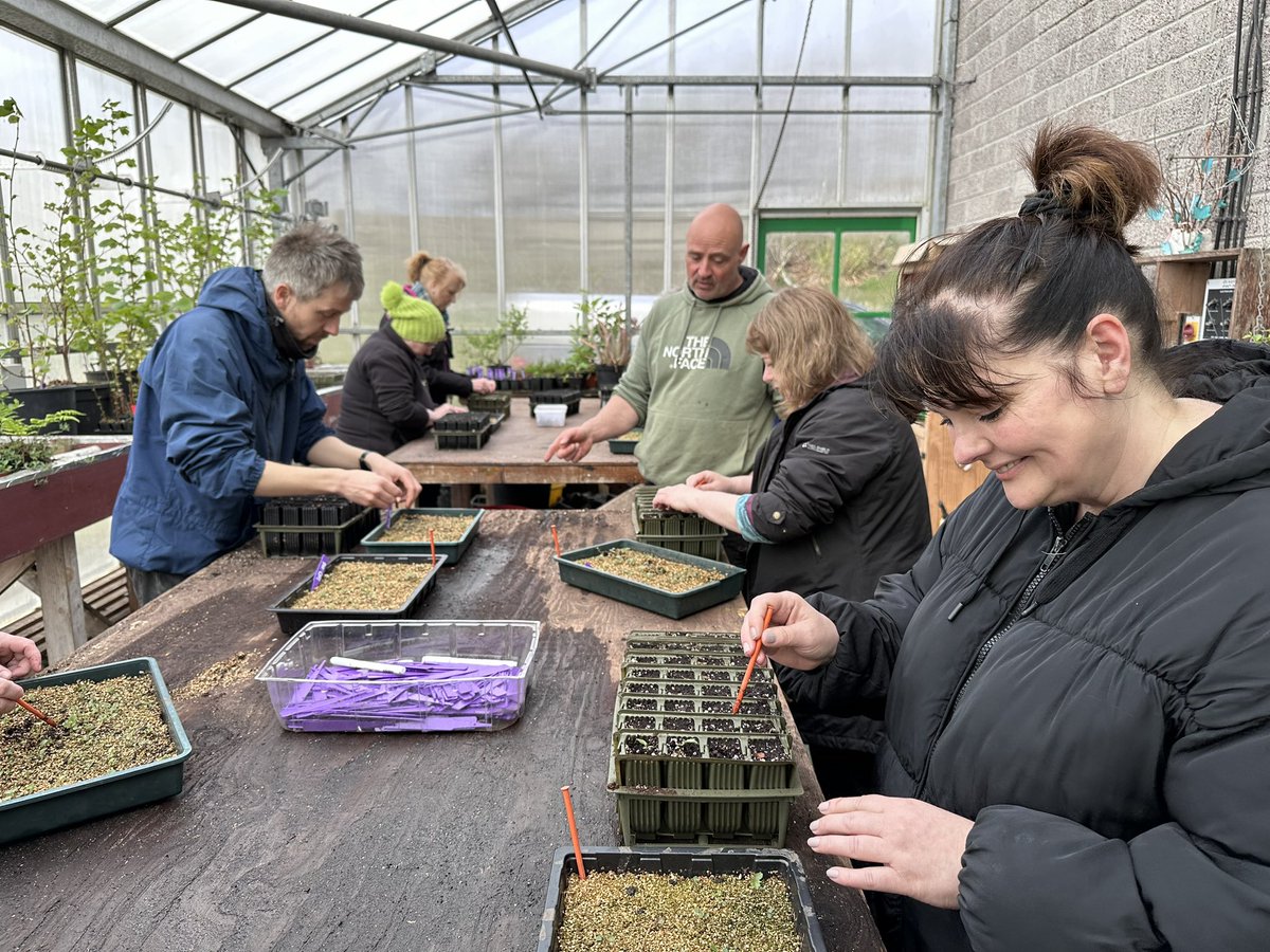 🌱 Some staff were on location this morning- getting in touch with our horticultural side! 🌿 Our partners at Shetland Amenity Trust plant thousands of trees each year as part of community projects. We went to find out more and help out! #babytrees #communitywork #partnership