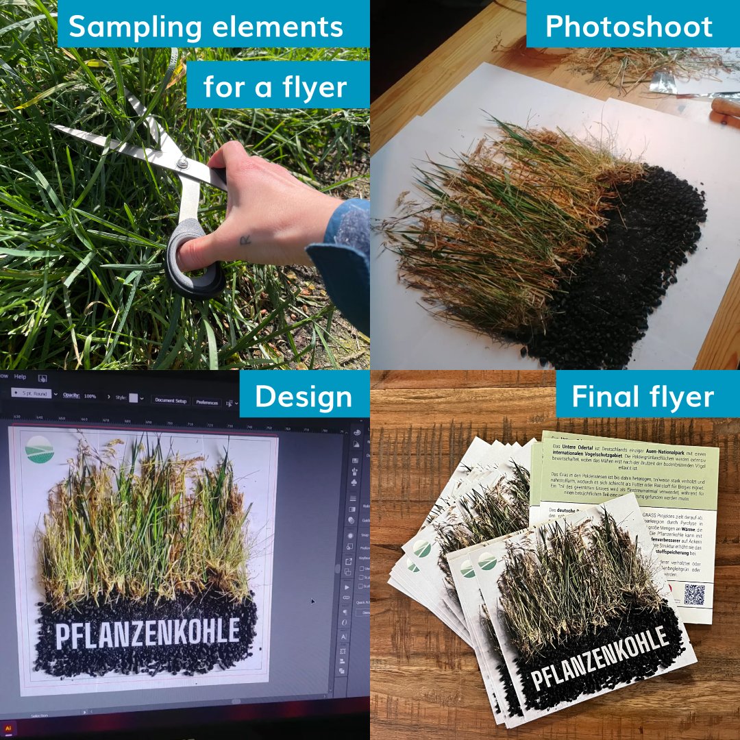 📸Can't find the perfect stock photo? Create your own! At ESCI, we sometimes need visuals where mainstream stock isn't the answer, such as for a flyer for the @GoGrassEU project. But our designer's lunchtime grass hunt resulted in a creative design that hit the mark.🎯#DesignTips