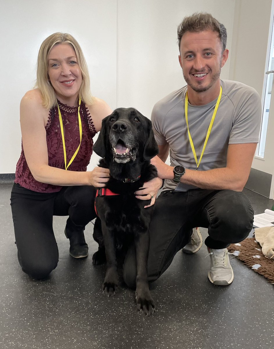 Medical Detection Dogs tweet media
