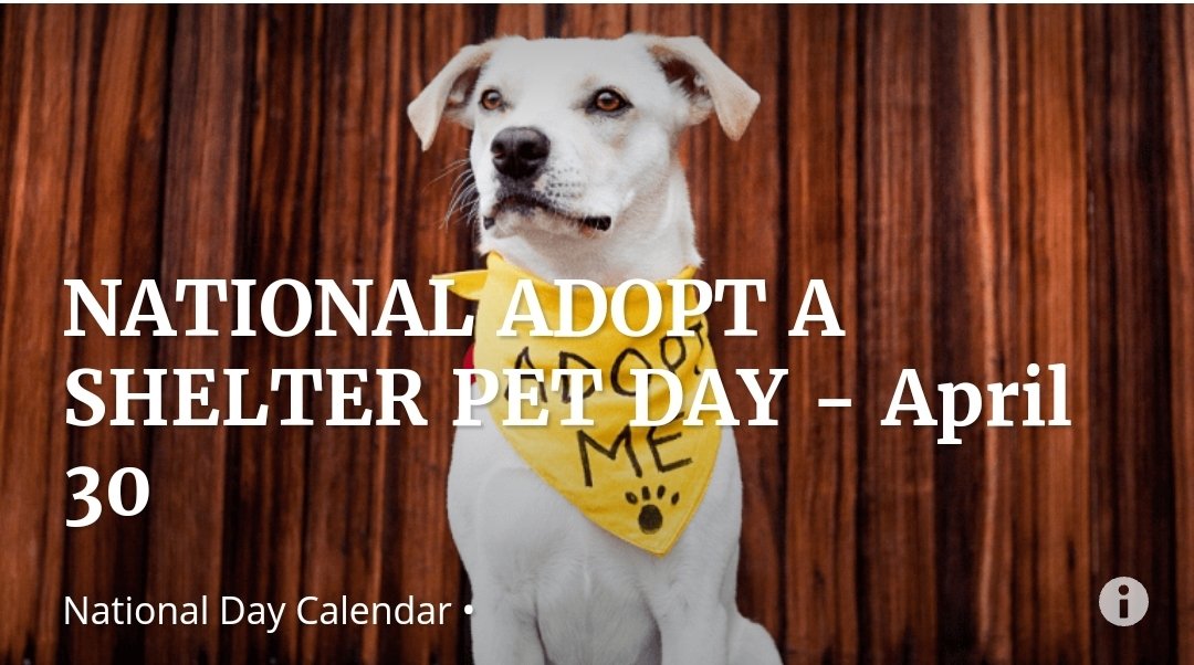 NATIONAL ADOPT A SHELTER PET DAY on April 30th raises awareness for thousands of pets that are waiting for adoption from the shelters. #AdoptAShelterPet

Animal shelters require year-round assistance & adoption is a part of the process. Animals come in daily. #AdoptDontShop