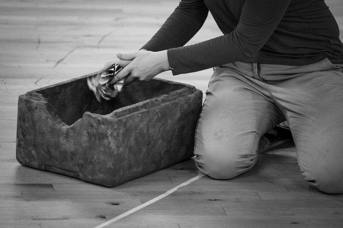 Vivid Roots Collective tweet media