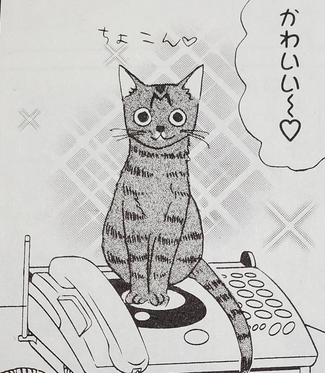OPERA vol.91本日発売です!!「麦と米～2匹の猫と暮らす日々」今回はどうしても電話の上に乗りたい麦です🐈️ 