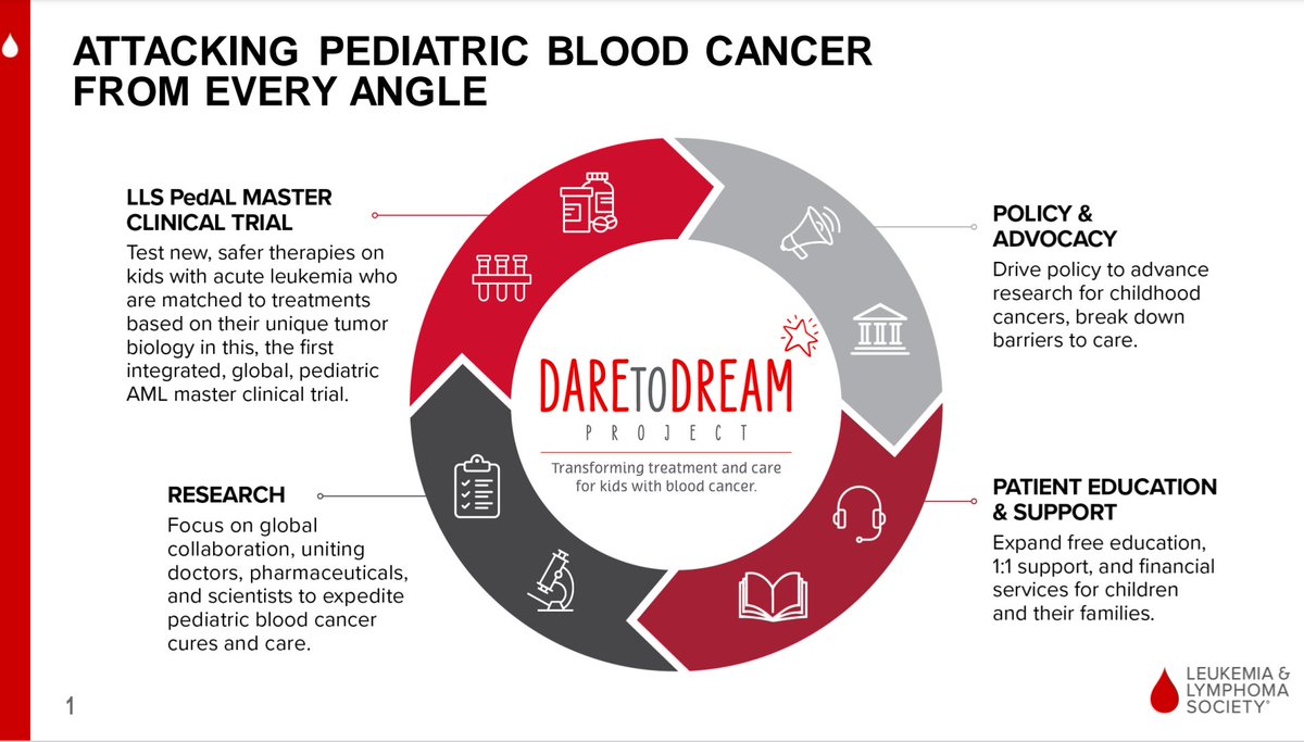 Mission Monday! Kids, & the parents, shouldn't have to think about chemotherapy treatments or navigating side effects. Please donate to help transform treatment & care for kids with blood cancer.
pages.lls.org/voy/nca/dcmetr… 
#LLSVisionaries #CancelBloodCancer #RelentlessLEIGH