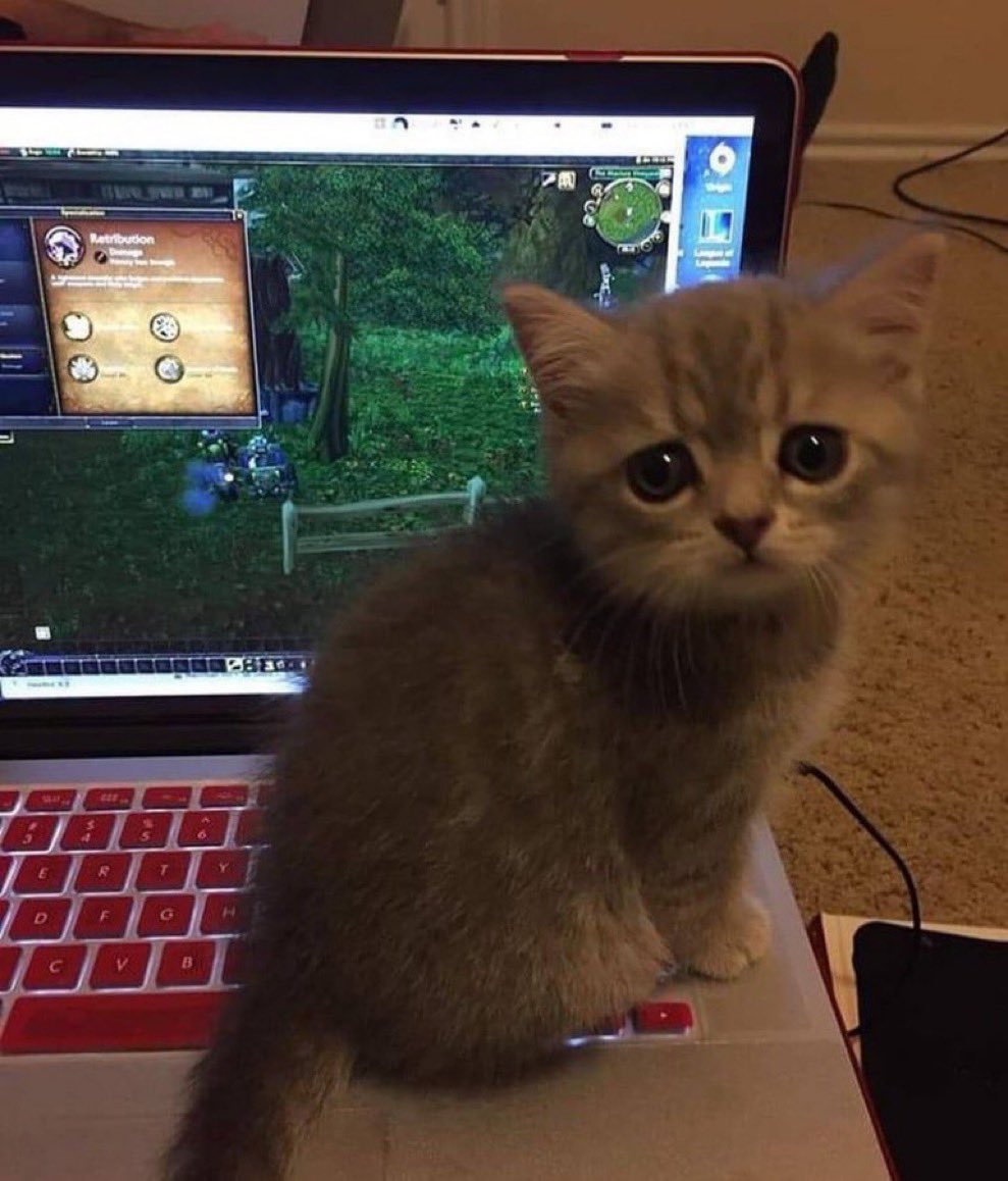 meceaaa's tweet image. وجهه مريخ الحوت اذا رفضت له طلب