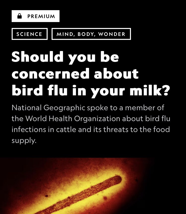 No, because bird flu is not in your milk.