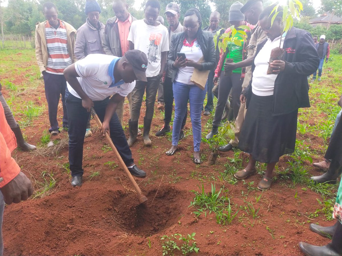 Updates from the field: We are empowering smallholder farmers in Nandi, Uasin Gishu and Elgeyo Marakwet through targeted agroforestry training. Together we’re boosting seedling survival rates and cultivating thriving farmer groups on the ground. 🌱#SustainableAgriculture