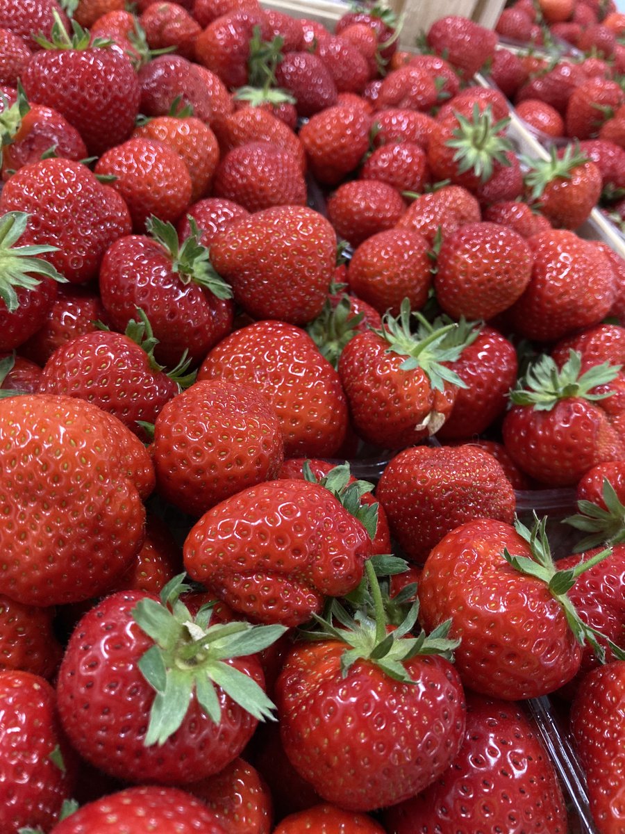 Norfolk Strawberries have just started, and these sweet, juicy and delicious looking ones are now available to order in 400gram punnets. To order this product, please call or email the office to place your order. Alternatively you can order online via our website.