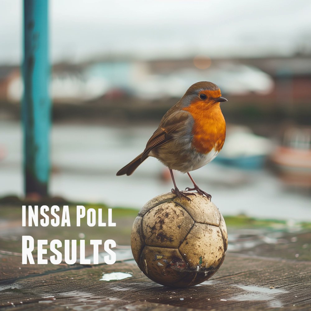 What would you most like to see from North Shields FC next season? independentnssa.org/2024/04/30/res…