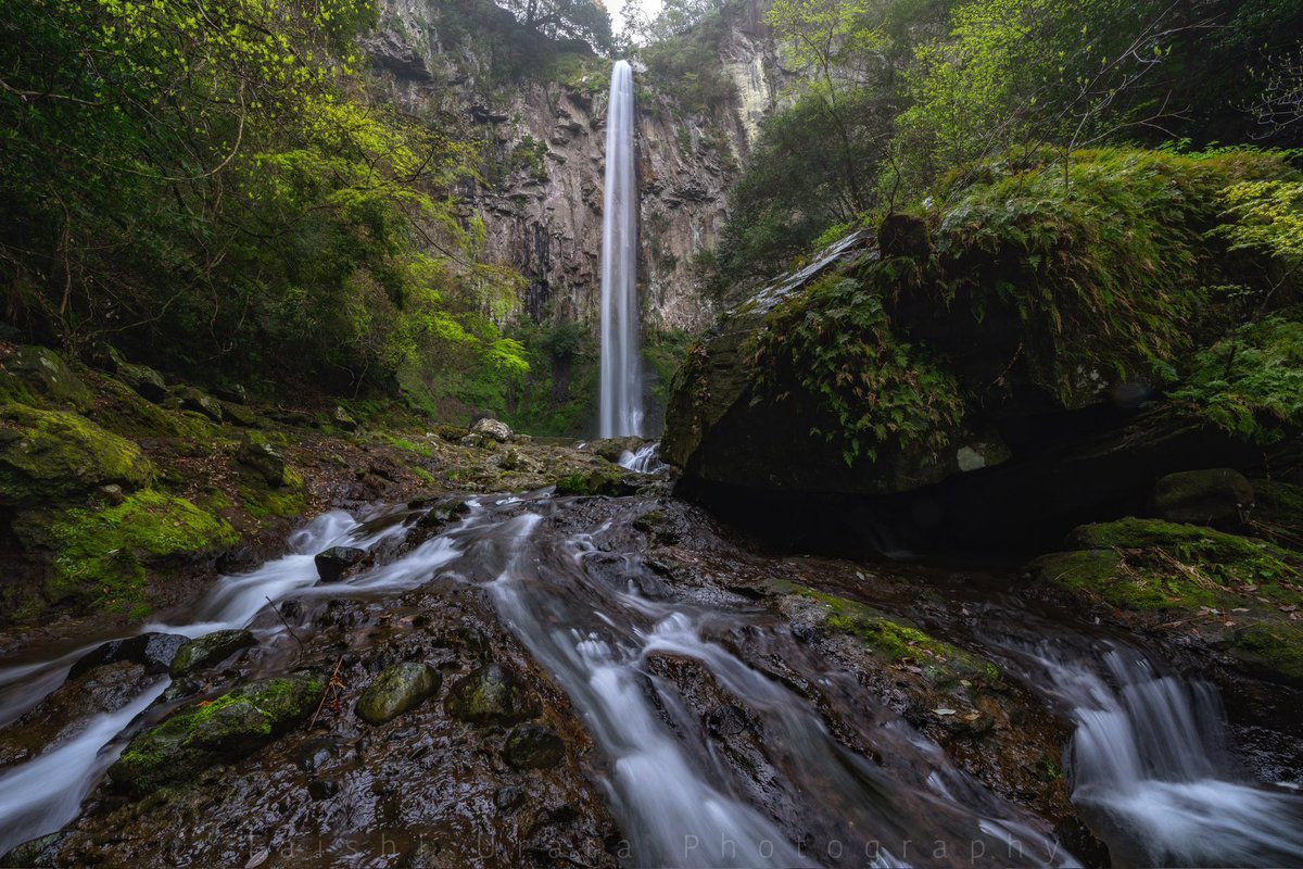 #4月を写真4枚で振り返る
大分、福岡、福岡、大分
#東京カメラ部