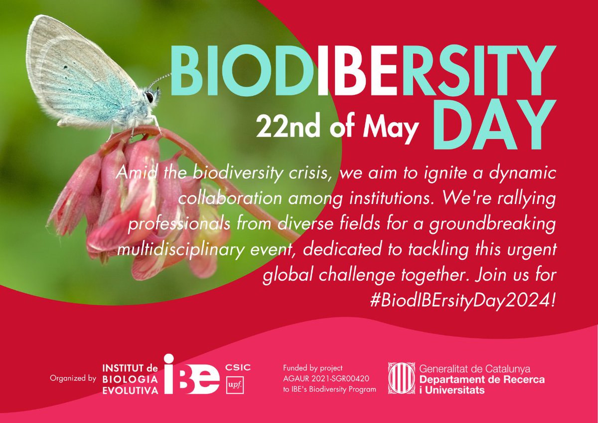 🌎 Amid the biodiversity crisis, biologists are compelled to establish synergies to propose global and local guidelines for its preservation and restoration. Join them at the #BiodIBErsityDay2024🧬🦠🦋 📆 22nd May 📍 CMIMA building @IBE_Barcelona ✍️ ibe.upf-csic.es/home/-/asset_p…