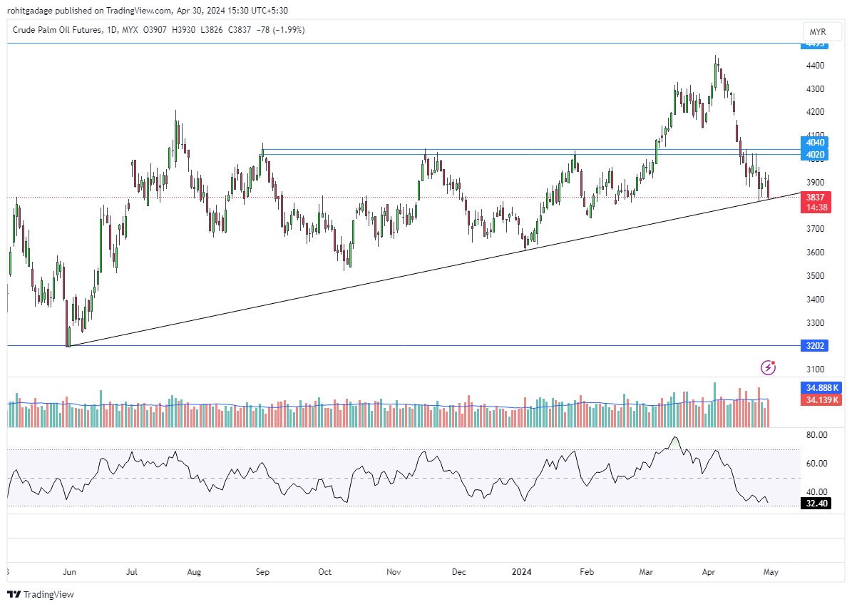 #palmoil ends at support level 
Next support is directly at 3620
#malaysia #Futures #india