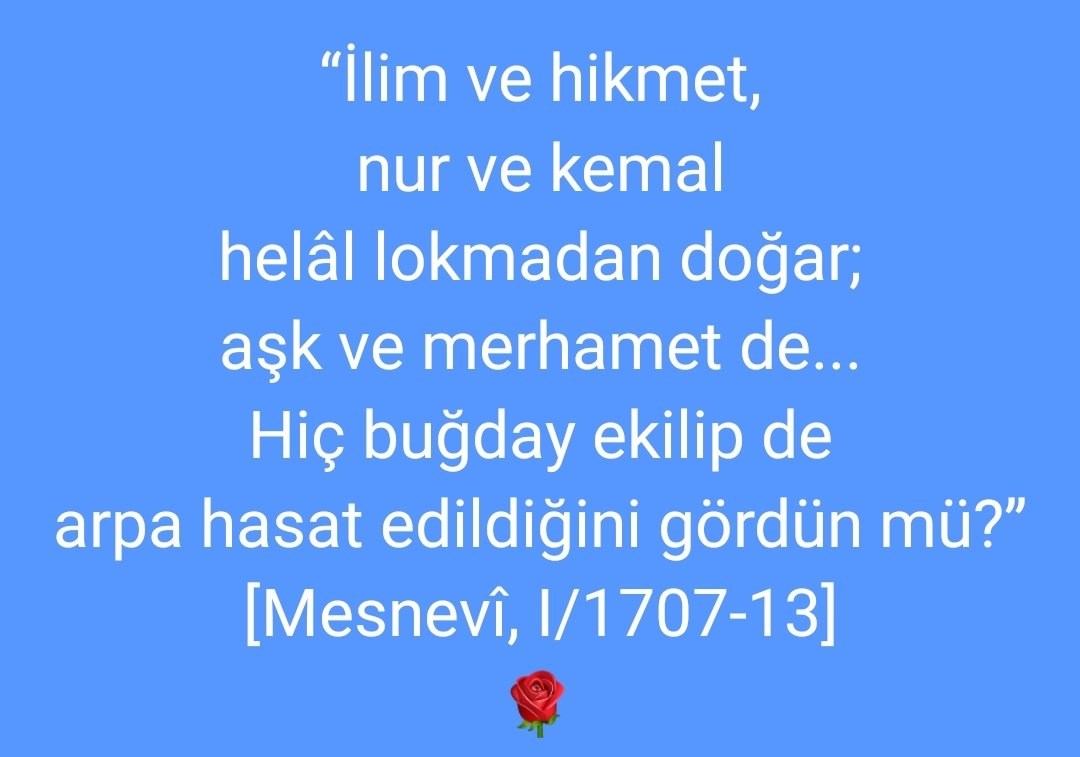 “İlim ve hikmet, nur ve kemal helâl lokmadan doğar; aşk ve merhamet de... Bir lokma, şayet haset ve hile meyvesi verirse, hasılası cehalet ve gaflete olursa, bil ki, o lokma haramdır. Hiç buğday ekilip de arpa hasat edildiğini gördün mü?” (Mesnevî, I/1707-13). #helal #lokma #aşk