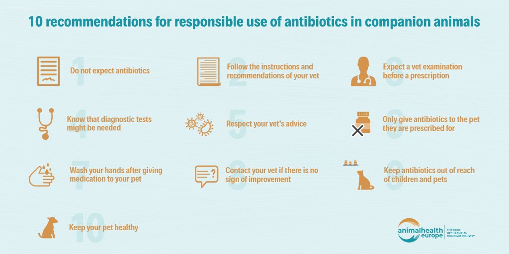 We all have a role to play in the fight against #AMR  

Pet owners, we have 10 responsible use recommendations for you ⬇️