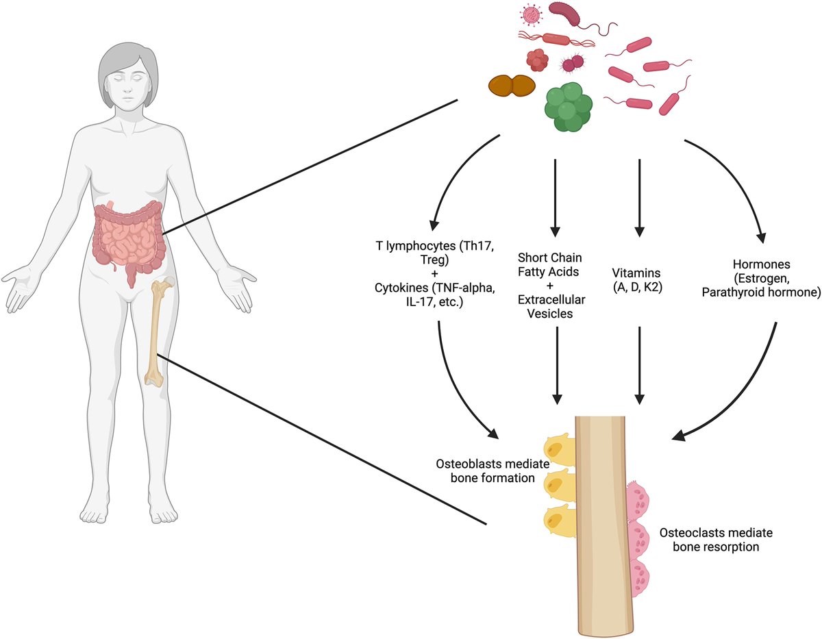 The Microbial Revolution in the World of Joint Replacement Surgery jbjs.org/reader.php?rsu…