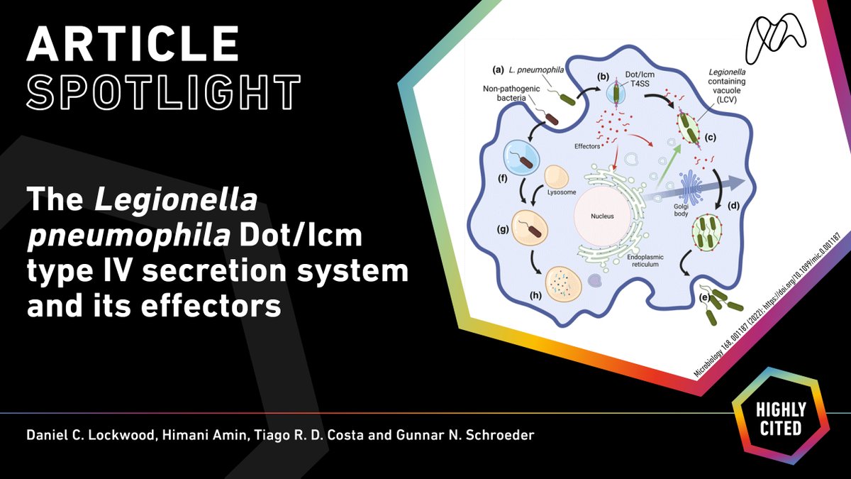 The second Article Spotlight of April is part of the Bacterial Cell Envelopes collection - The Legionella pneumophila Dot/Icm type IV secretion system and its effectors. Read the full article here microb.io/3WfgsjT