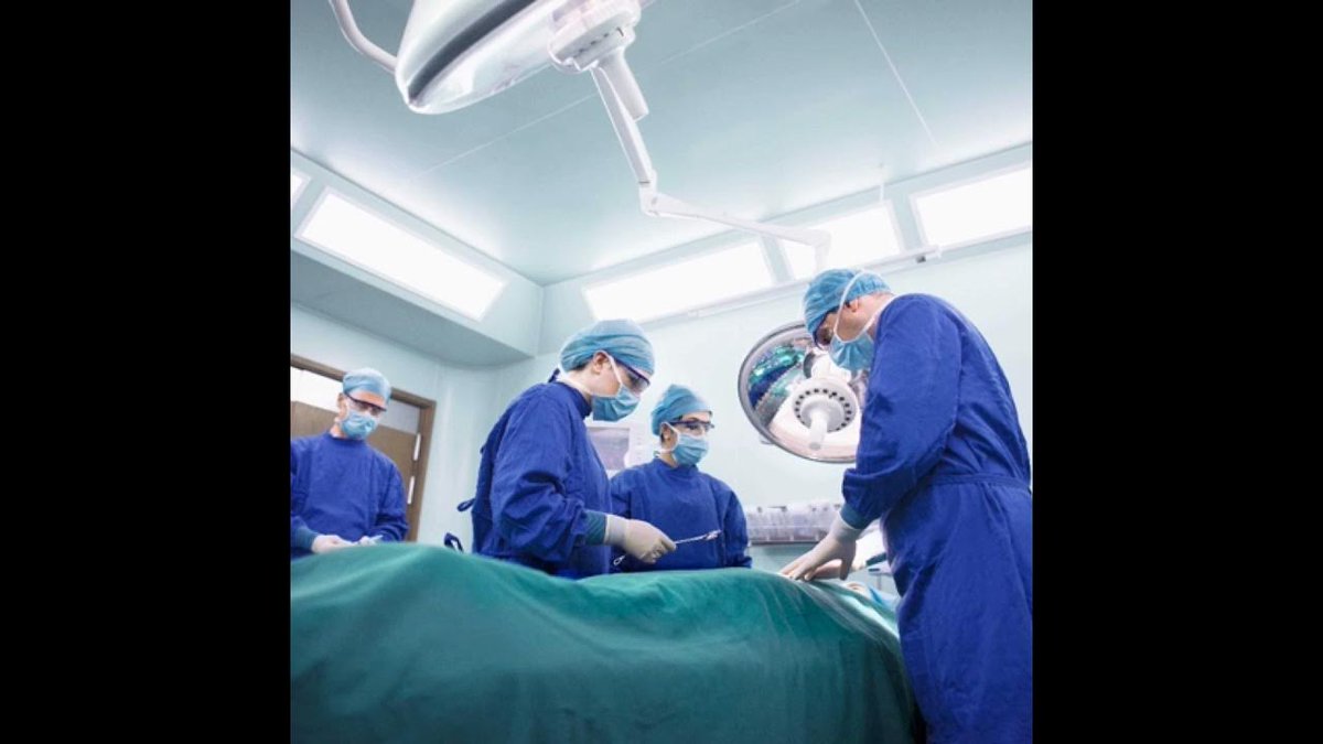 W.Va. and N.C. Rule on Trans Surgeries, Watchdog Warns of Christian Persecution in America, Risin... dlvr.it/T6CXDr