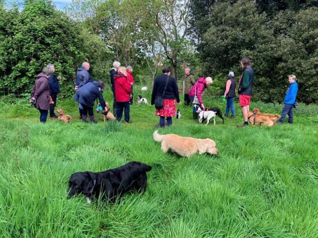 Who's joining us for a #WaggyWalk at Ridgetop Park near Exeter next Tues 7 May?🐶 Walk starts at 10am for 1.5 hours.🐾 To book email woof@devonlovesdogs.co.uk with your name, number of places and mobile number. For more:  devonlovesdogs.co.uk/events