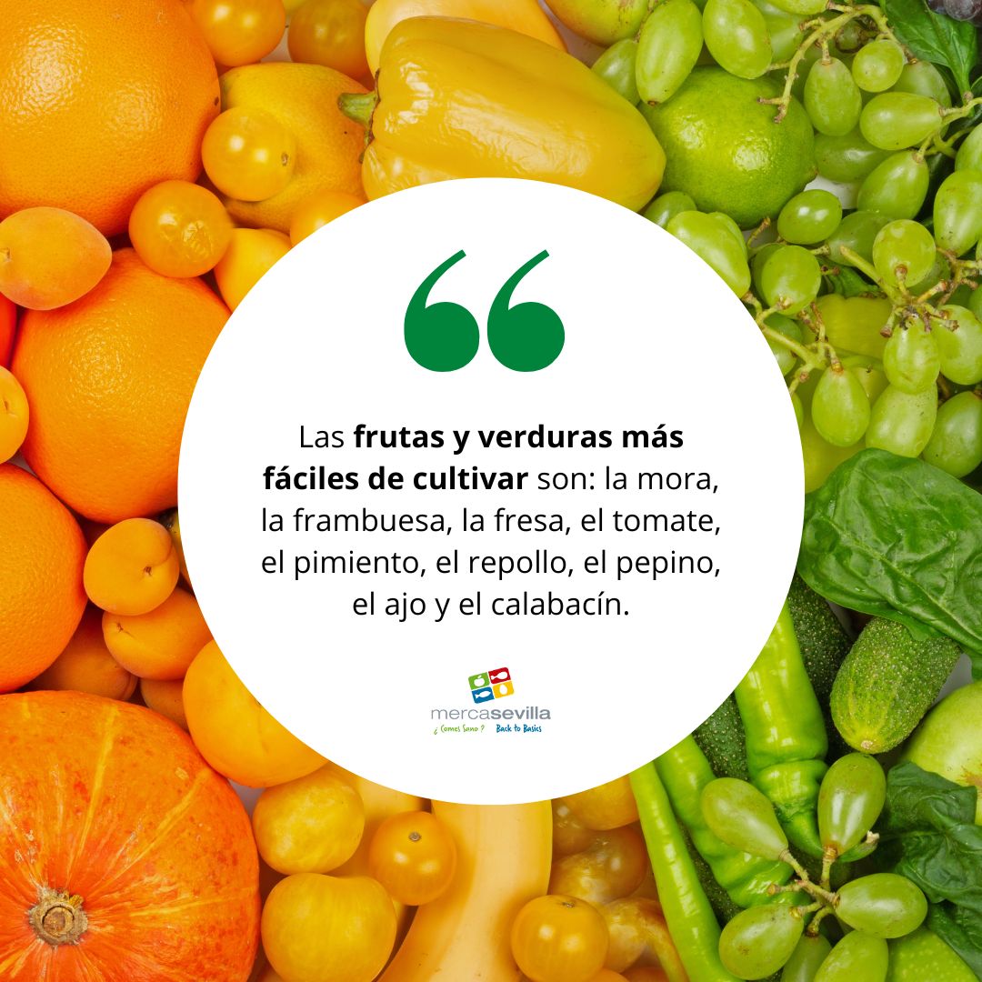 🍑De las frutas y verduras que os hemos mencionado, ¿𝗰𝘂𝗮́𝗹 𝗲𝘀 𝘃𝘂𝗲𝘀𝘁𝗿𝗮 𝗳𝗮𝘃𝗼𝗿𝗶𝘁𝗮?🍅

#mercasevilla #mercado #reddemercas #sevilla #mercadosdeabasto #alimentacion #mercadomunicipal #comerciolocal #alimentosdeespaña #ayuntamientodesevilla