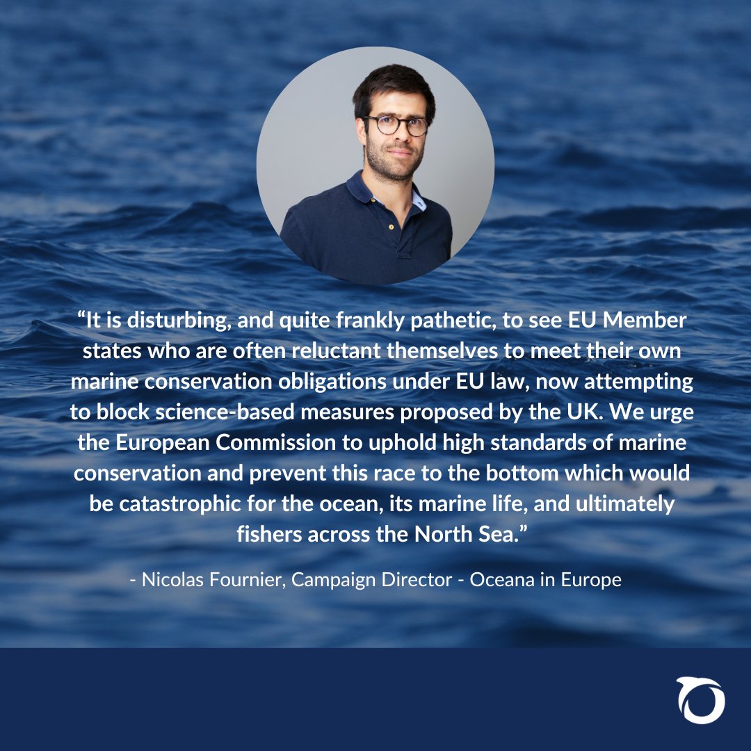 Oceana joins +35 UK & EU NGOs to support the UK government’s decision to close #sandeel fishing in Scottish & English #NorthSea. EU countries should follow suit instead of blocking this vital protection for 🐧 seabirds & 🦑 marine ecosystems. Read more: europe.oceana.org/press-releases…