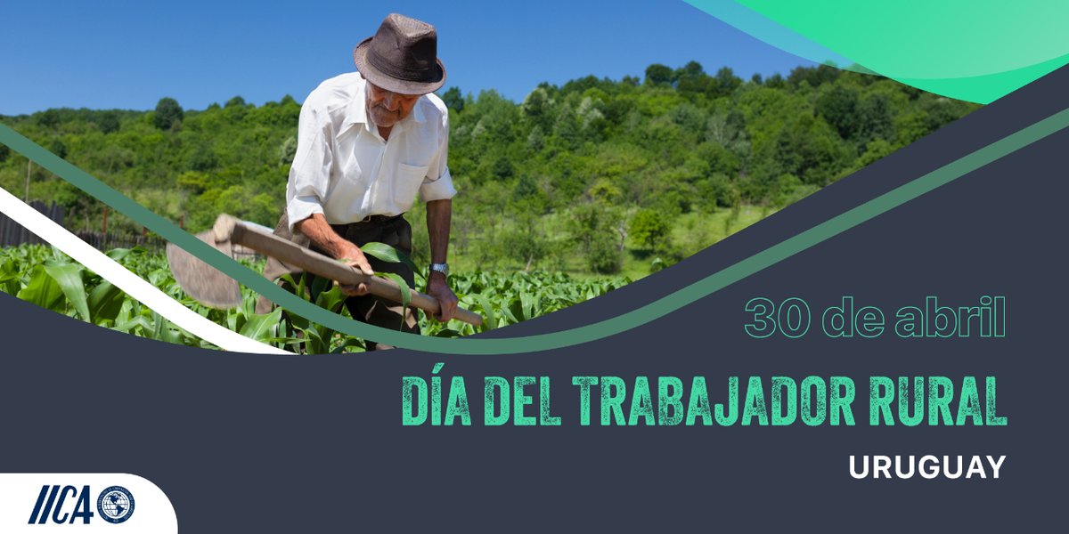 ¿Qué serían de nuestros campos sin los trabajadores rurales? 🌾 Hoy, en el Día del Trabajador Rural de Uruguay, celebramos a los que se levantan temprano y trabajan bajo el sol para hacer grande al agro. @IICA_Uruguay