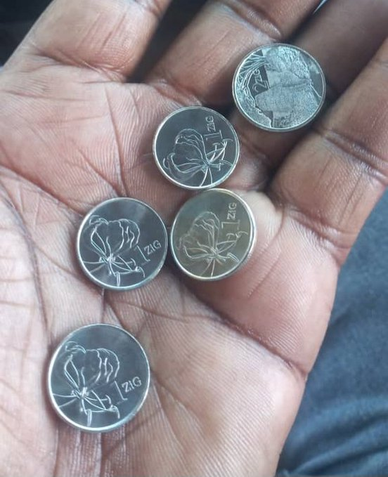 #ZiG1 & #ZiG2 coins in circulation...