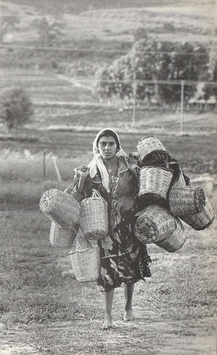 2.ΔΕΝ ΕΧΕΙΣ ΦΡΑΓΚΑ;; ΤΡΩΣ ΑΠΟ ΤΟ ΚΑΛΑΘΙ ΤΟΥ ΣΚΡΕΚΑ ΟΛΑ ΤΑ ΣΚΟΥΠΙΔΙΑ ΤΗΣ ΕΥΡΩΠΗΣ ΚΑΙ ΠΕΡΑ,ΚΑΙ ΨΟΦΑΣ ΕΚΤΟΣ ΜΕΘ..#κυβερνηση_Μητσοτακη #Σπηλιωτοπουλος #eurovisiongr #γυναικοκτονια #SuperKaterina #toprwino #Ματι #ΣΥΡΙΖΑ_ΠΣ #Καινουργιου #Αλμειδα #survivorGR #ΜεγαληΕβδομαδα #ακριβεια