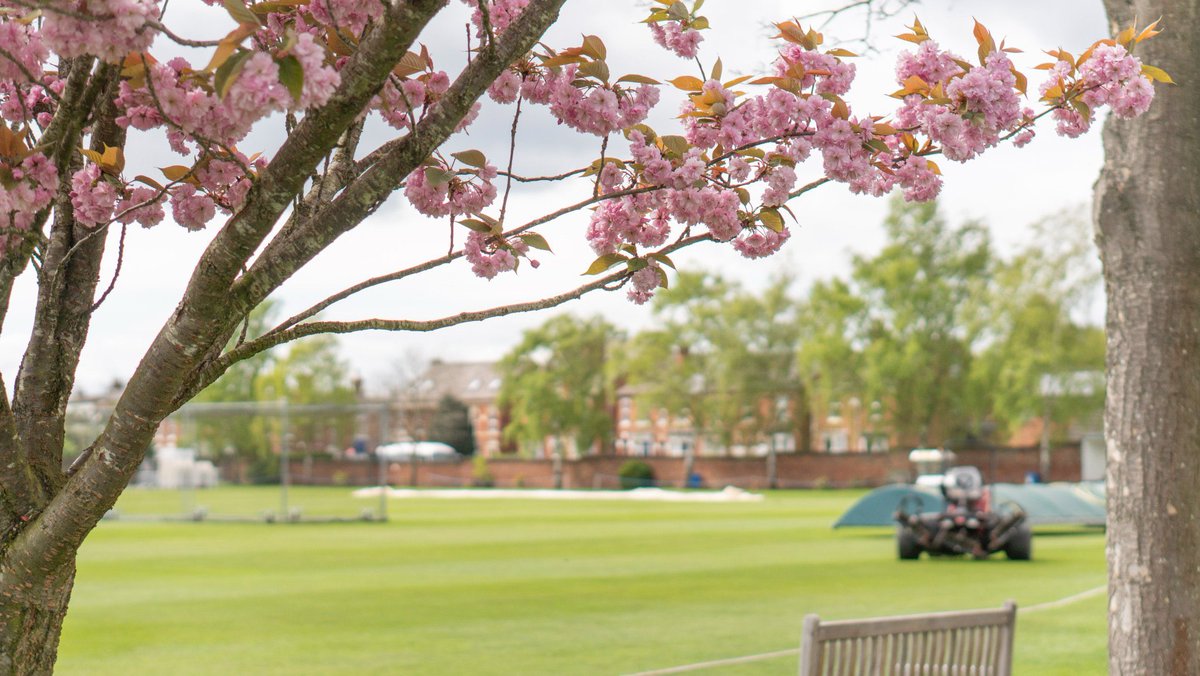 Tomorrow’s set to be a great day. 😊 We face @Sunriserscrick at Kidderminster CC in the Rachael Heyhoe Flint Trophy! It’d be great to see as many of you down there. After all, it is free entry. 🤩 #SparksWillFly💥 | @WorcsCCC | @KidderminsterCC