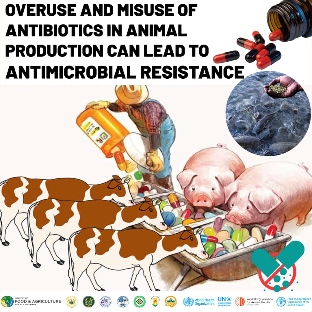 Misuse of antibiotics on animal farms threatens public health. Let’s work to build healthy farms, healthy communities by ensuring the responsible use of & preservation of antibiotic effectiveness on animal farms. #ProtectPublicHealth #FarmWithCare #AMR