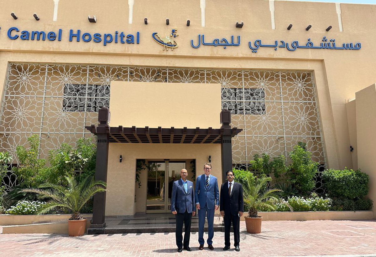 Today, I celebrated a joint Swedish 🇸🇪 Emirati 🇦🇪 stem cell project at the Dubai Camel Hospital 🐪. An extraordinary event and a unique platform for cultural and scientific exchange. Thanks Dr Ali al Hashimi, Mr Mohammed, Dr Assan and Cellaco for the invitation! #SwedeninUAE