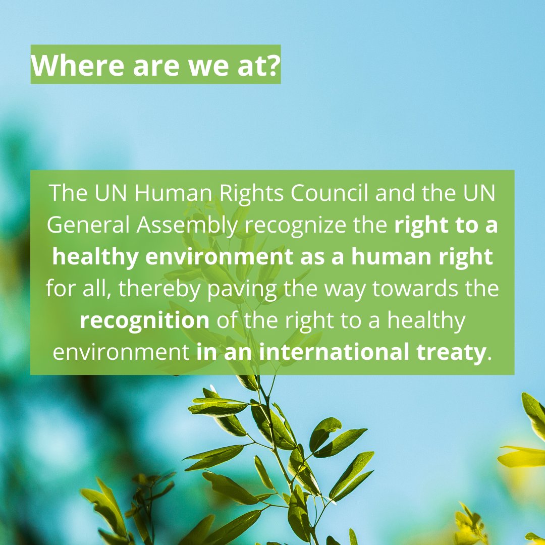 'Everyone has the right to a clean, healthy, and sustainable environment. The UN recognizes this as a fundamental human right. Access clean air, safe water, healthy food, and a thriving climate. #GreenRights #HealthyPlanet Join the Green Rights Coalition!'