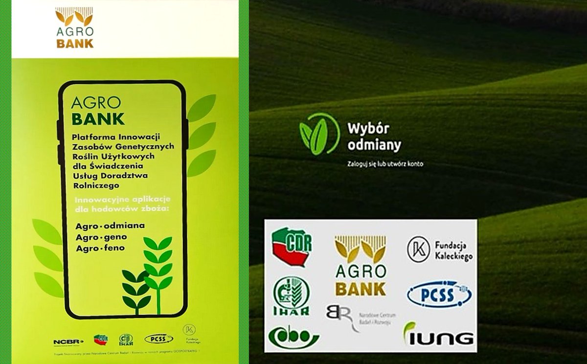 🎯#aplikacja 📲🧑‍🌾WYBÓR ODMIANY 💥
➡️PROJEKT #agrobank #gospostrateg #NCBR #AKIS #CDR #PCSS #FK
➡️#IHAR-PIB #MRiRW #WPR
#COBORU #IUNG #PIN #bankgenów
➡️🌾dobre nasiona najnowszych odmian = wysoki i stabilny plon🧑‍🌾📈🍞
#agrobioróżnorodność #rolnicy #rolnictwo #plony
#zmianaklimatu