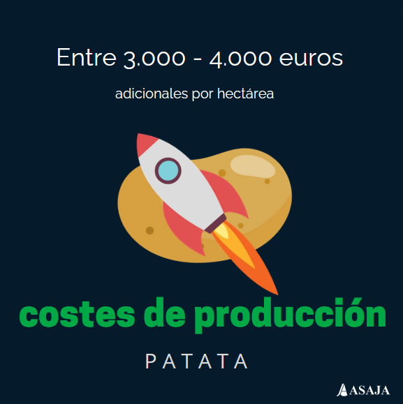 🥔📈 El coste de cultivar #patata en #España se ha disparado, aumentando entre 3.000-4.000 euros por hectárea recientemente, enfrentando además la escasez de mano de obra. #Agricultura @MeijerPotato @ASAJACyL @germicopa #Fepex revistamercados.com/la-escasez-de-…