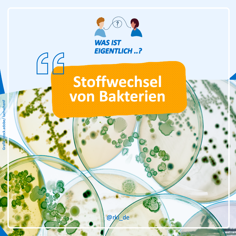 rki_de's tweet photo. Welche Prozesse finden in #Bakterien statt, damit sich diese vermehren, wachsen und schnell anpassen können? Was wird als "Baumaterial" und Energie genutzt? Warum kann der Stoffwechsel für Körper und Umwelt wichtig sein?

Einige Antworten in dieser #WasIstEigentlich-Folge. ⬇️