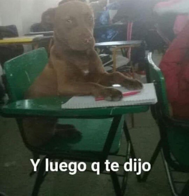 hytmIA's tweet photo. “el profe habla y habla”
yo escuchando a mi compa como va con su ligue https://t.co/pqbVSk4elD