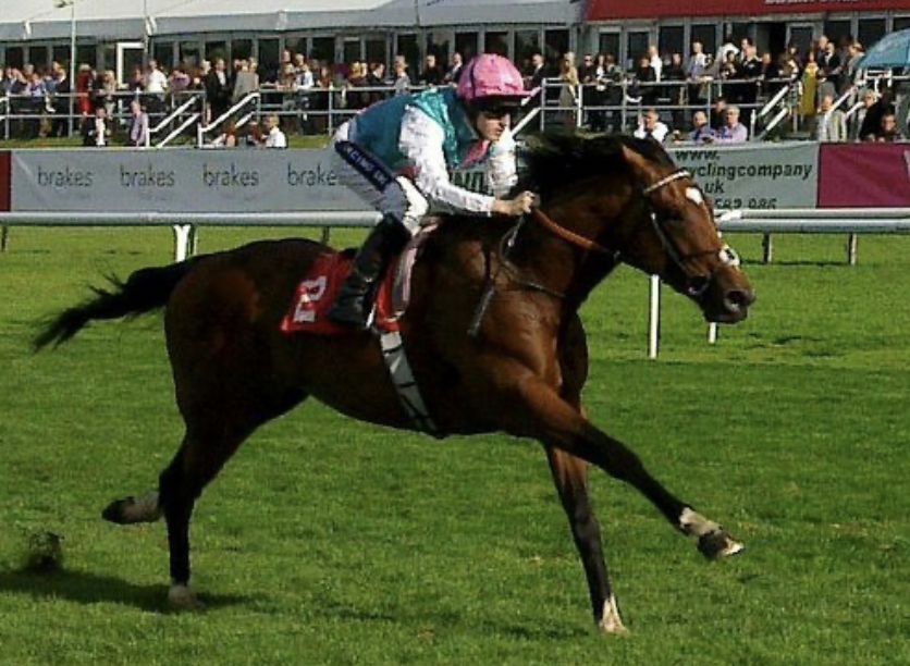 USASteeplechase's tweet image. The 2010's brought us legends like Usain Bolt, Simone Biles, Steph Curry, Roger Federer, Conor McGregor, Alex Morgan Messi and Ronaldo!      

But who was your favorite racehorse of the decade? 🧐

#AmericanPharoah #WiseDan #Justify #Arrogate #CaliforniaChrome #GunRunner