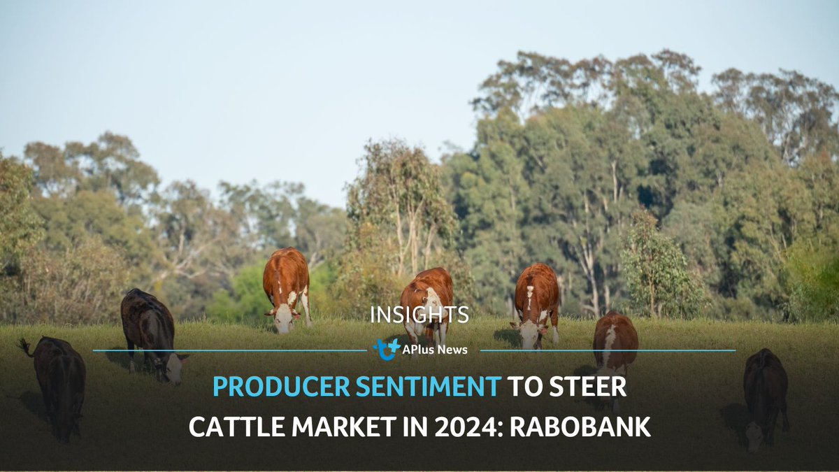 Producer sentiment to steer cattle market in 2024: Rabobank READ ARTICLE: tinyurl.com/3624z62x