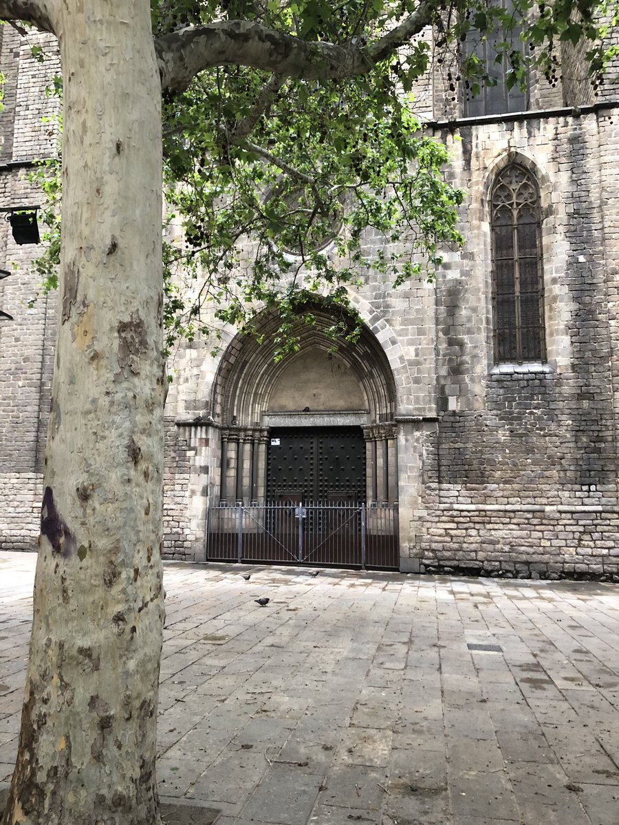 El plaer dels matins, un gòtich sense turistes.