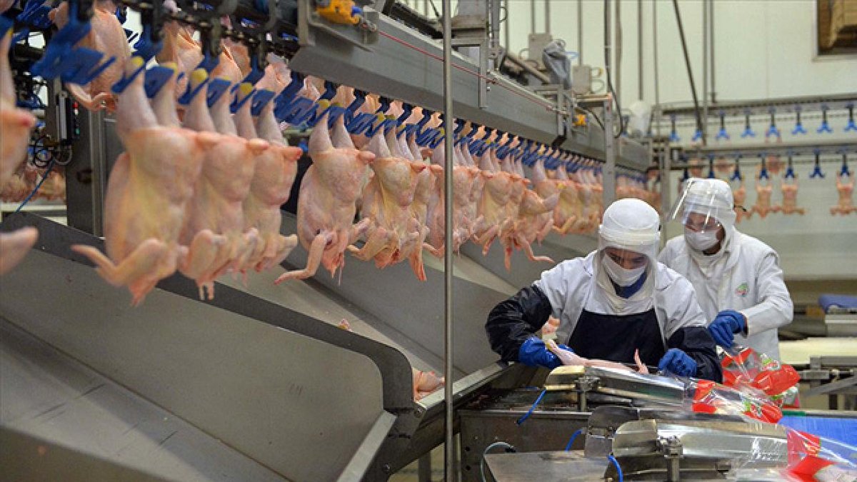 Ticaret Bakanlığı Tavuk eti ihracatına 1 Mayıs'tan 31 Aralık'a kadar sınırlama getirdi.

• Aylık bazda azami 10 bin ton
• Toplam'da yıl sonuna kadar 80 bin ton olacak şekilde sınırlandırıldı.