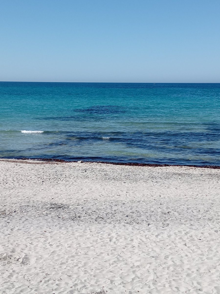 #BuongiornoATutti 🌞🌻🍀🌹 ...e come si dice : il Buongiorno si vede dal mattino, un mare calmo azzurro e a zone anche verde con acqua trasparente. Parliamo del Salento Torre dell'Orso e San Foca🌞🌞🌞🌞