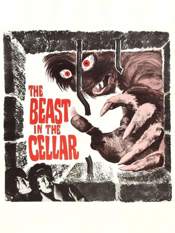 My copy of The Beast in the Cellar finally arrived yesterday. What a brilliant little gem - incredible on-edge performance by Beryl Reid and a film that cleverly subverts horror tropes to emphasize the real horrors of war instead.