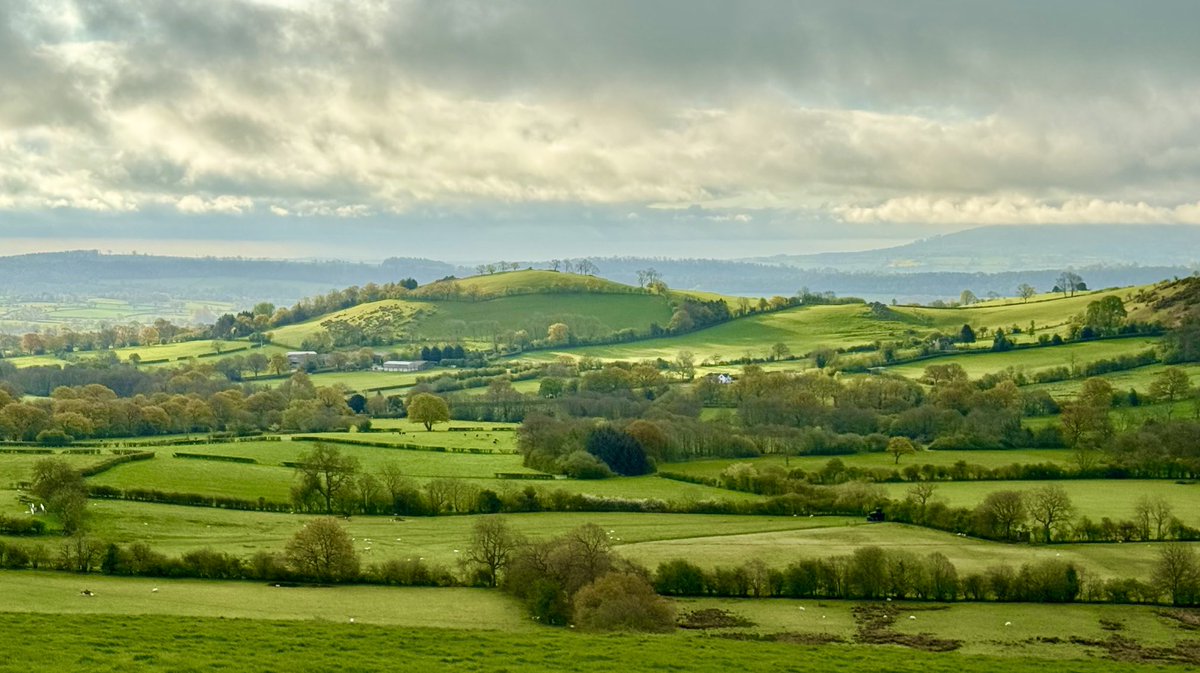 A little windy this morning and the odd glimpses of sun! 🌱☀️ #Shropshire