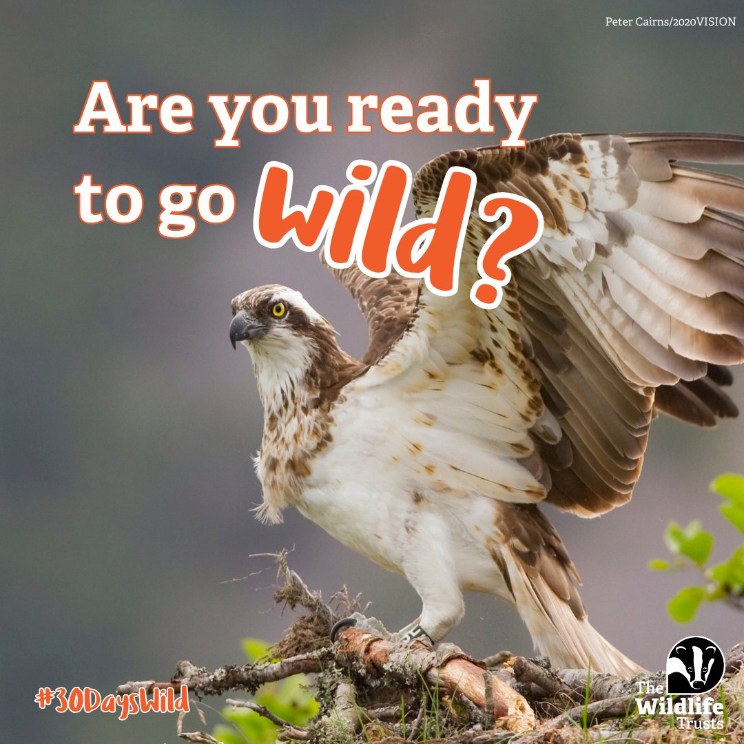 We’re challenging EVERYONE to do something wild every day in June for #30DaysWild. ☀

Make it your own, from bird watching to going on a 10-mile hike, wild activities can fit around you. There’s time for nature in everyone’s life. Sign up now 💚 wildlifetrusts.org/30dayswild