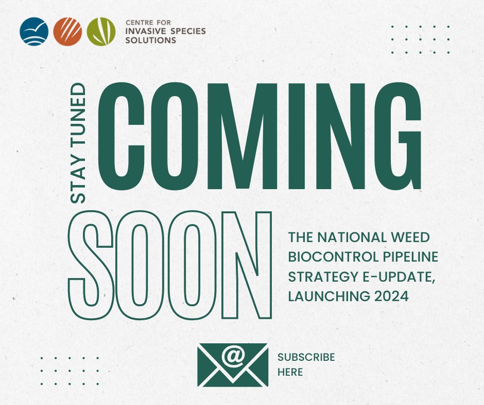 The Centre and its partners have commenced work on delivering initial actions under the newly released National Weed Biocontrol Pipeline Strategy. Opt-in here loom.ly/cVpnoPw for our National Weed Biocontrol Pipeline Strategy e-update. #biocontrol #newsletter