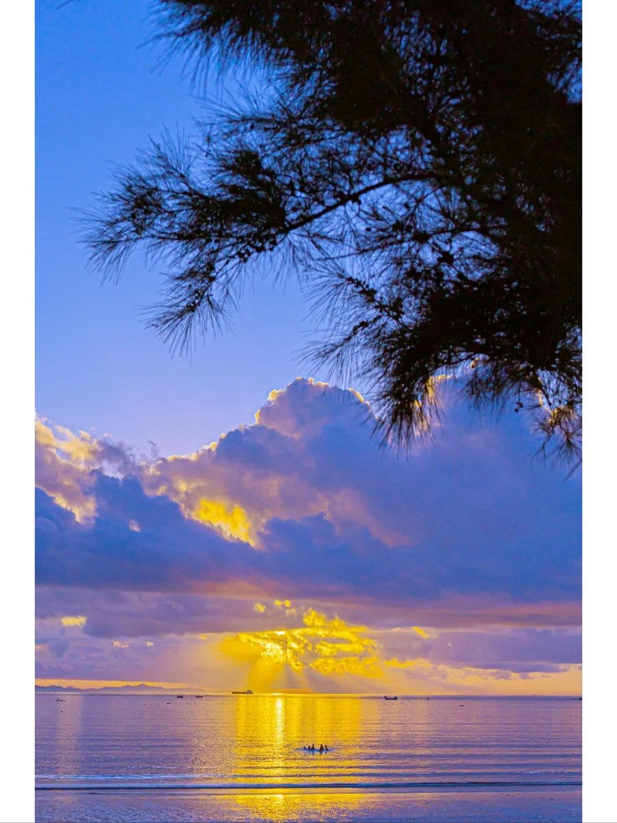 sj075nC33911b51's tweet image. 失意の時、静かに手を伸ばし、風と手を打ちます。