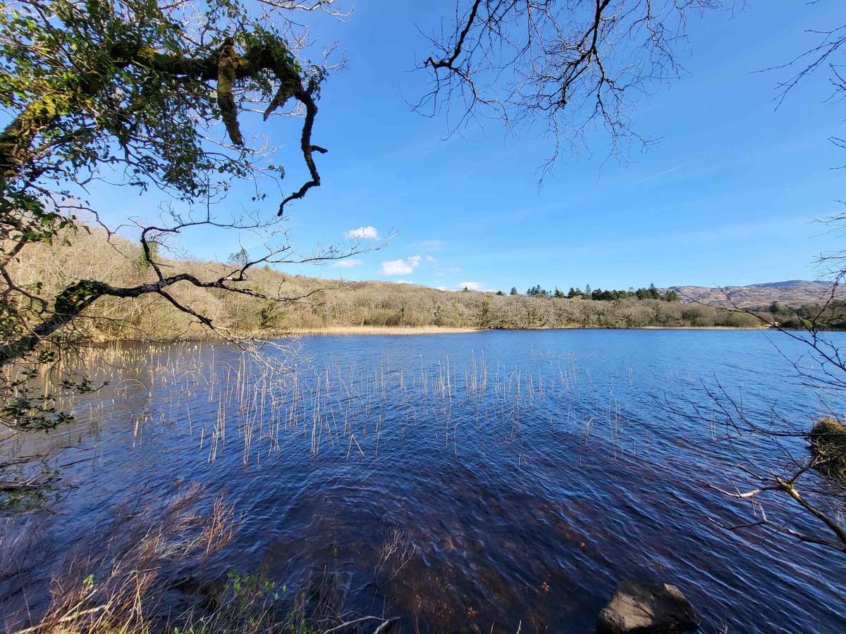 Views from Ardnamone Woods on the banks of Lough Eske, Donegal.
inishview.com/activity/ardna…

#Donegal #wildatlanticway #LoveDonegal #visitdonegal #bestofnorthwest #visitireland #discoverireland #Ireland #KeepDiscovering #LoveThisPlace #discoverdonegal #govisitdonegal